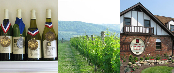 Columbus Food Adventures Tour Van, Ohio River Valley Wine Tour, Columbus Ohio