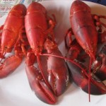 lobsters columbus ohio, lobstah shack, lobster shack ohio