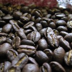small coffee roasters columbus