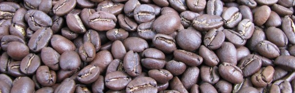 thunderkiss coffee