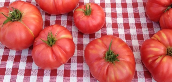 local matters local foods week