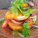 Fried green tomato stack at Darista Cafe