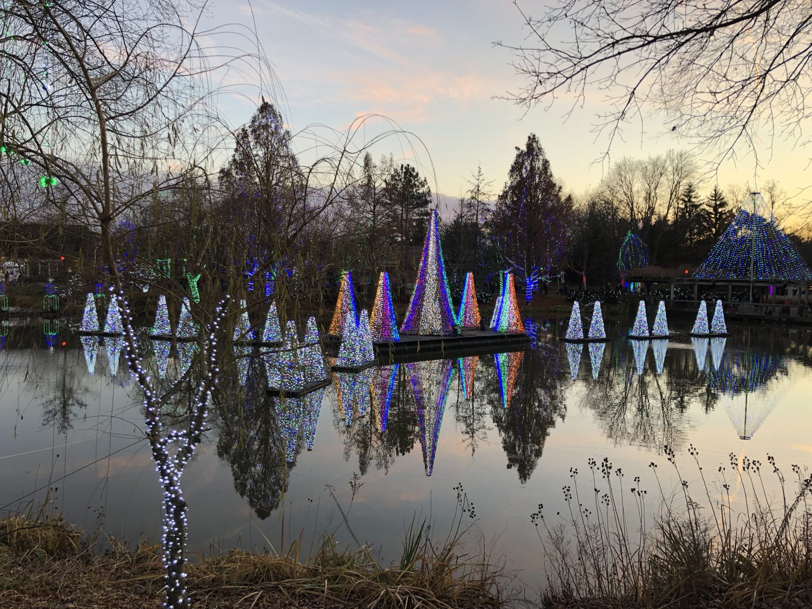Lit-up Christmas tree light sculptures reflected in a lake at dusk at the Columbus Zoo